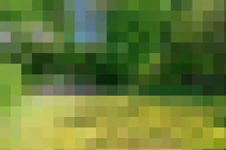 Ruiterweg 15 Schipborg thumbnail 57