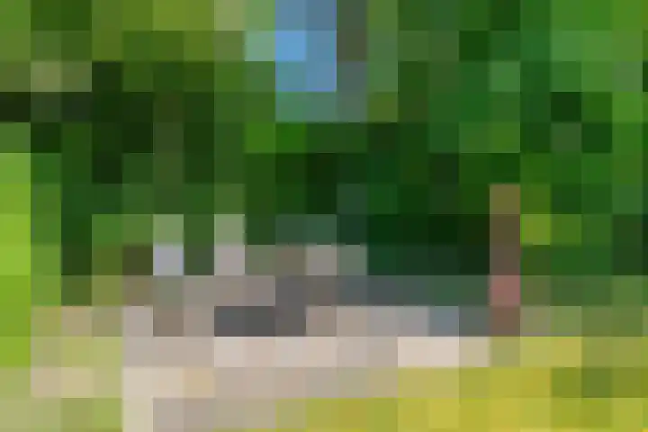 Ruiterweg 15 Schipborg thumbnail 58