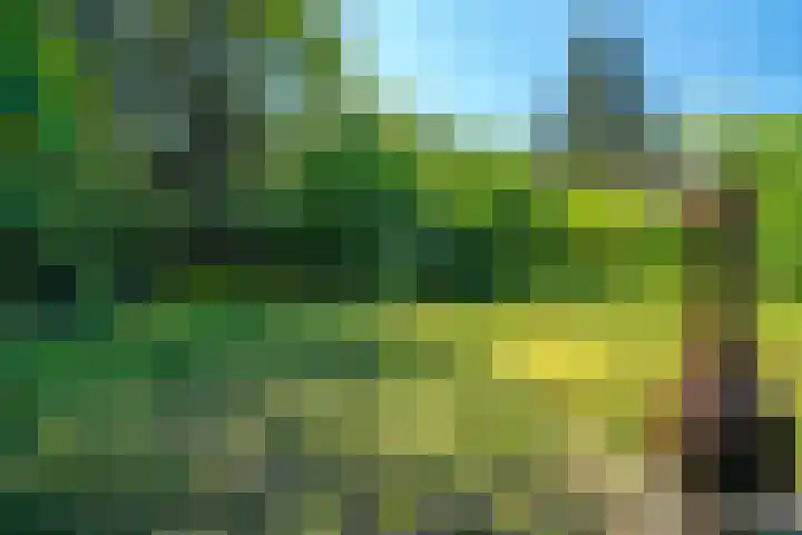 Ruiterweg 15 Schipborg thumbnail 59