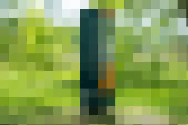 Ruiterweg 15 Schipborg thumbnail 60