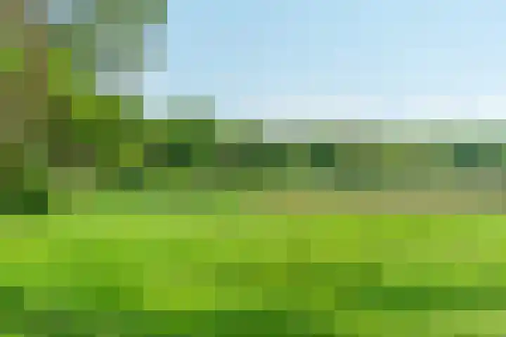 Ruiterweg 15 Schipborg thumbnail 61