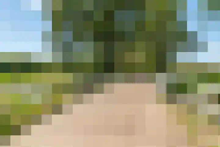 Ruiterweg 15 Schipborg thumbnail 62