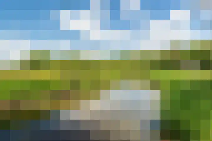 Ruiterweg 15 Schipborg thumbnail 63