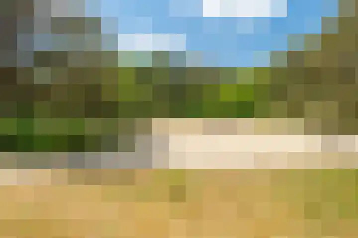 Ruiterweg 15 Schipborg thumbnail 64