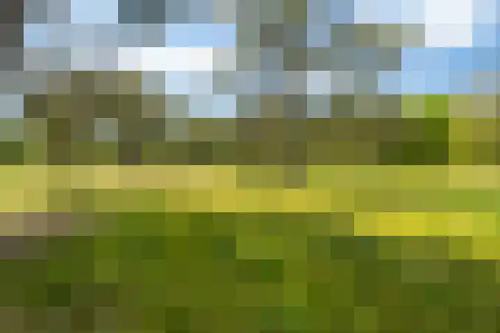Ruiterweg 15 Schipborg thumbnail 65
