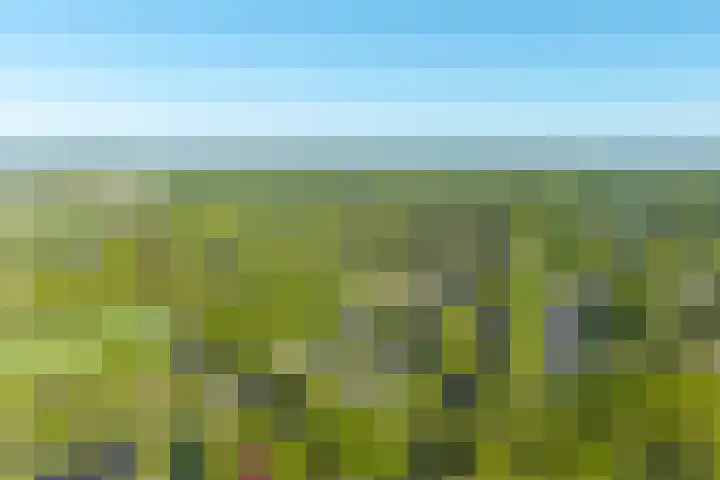Ruiterweg 15 Schipborg thumbnail 66