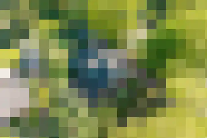 Ruiterweg 15 Schipborg thumbnail 67
