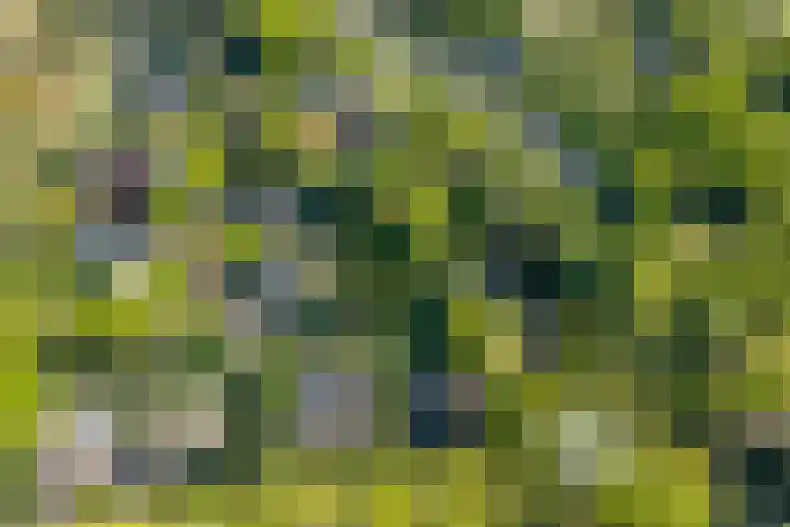 Ruiterweg 15 Schipborg thumbnail 69