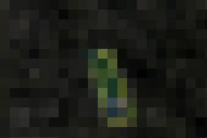 Ruiterweg 15 Schipborg thumbnail 70