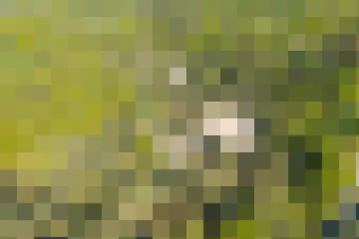 Ruiterweg 15 Schipborg thumbnail 72