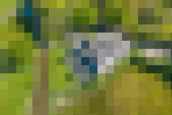 Ruiterweg 15 Schipborg thumbnail 73