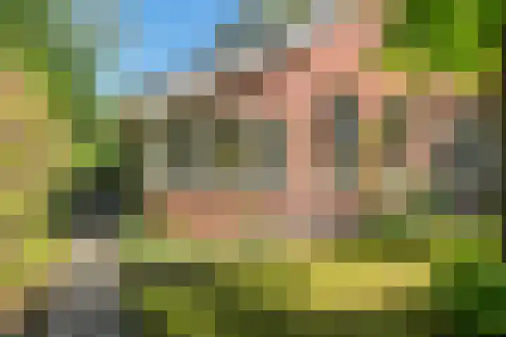 Ruiterweg 15 Schipborg thumbnail 9