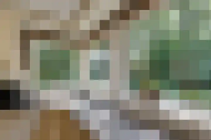 Ruiterweg 17 Schipborg thumbnail 24