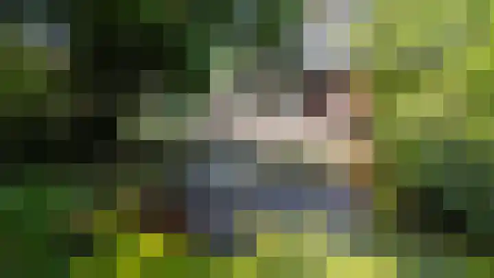 Ruiterweg 17 Schipborg thumbnail 4