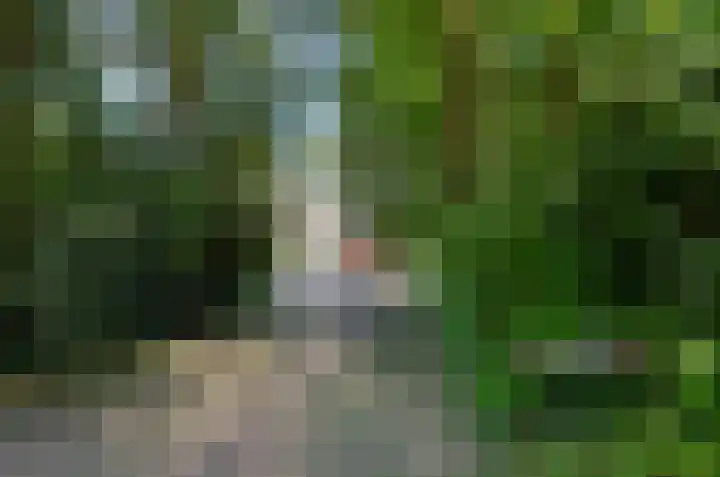 Ruiterweg 17 Schipborg thumbnail 5