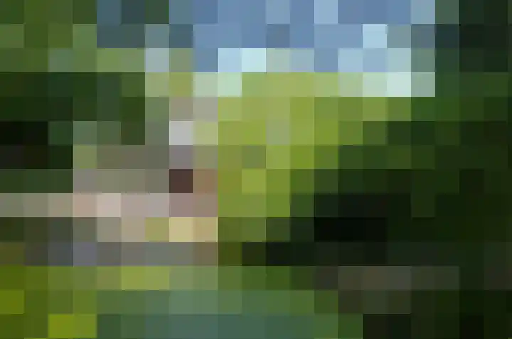 Ruiterweg 17 Schipborg thumbnail 68