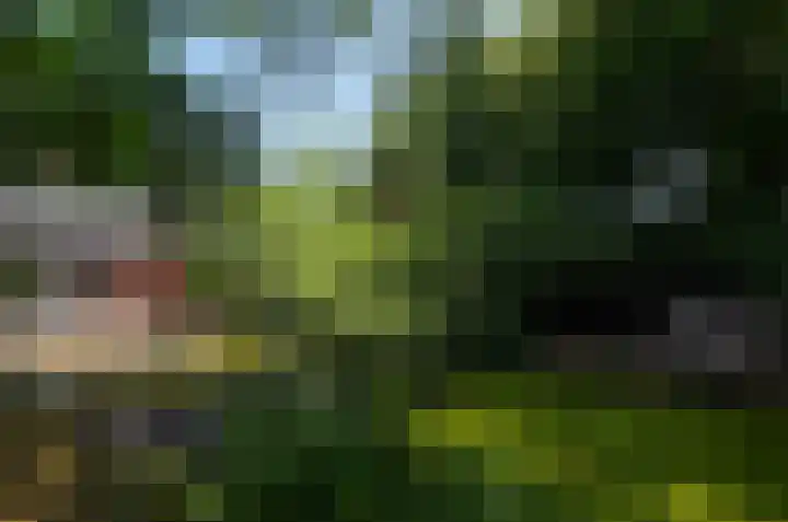 Ruiterweg 17 Schipborg thumbnail 69