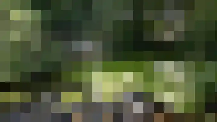Ruiterweg 17 Schipborg thumbnail 70