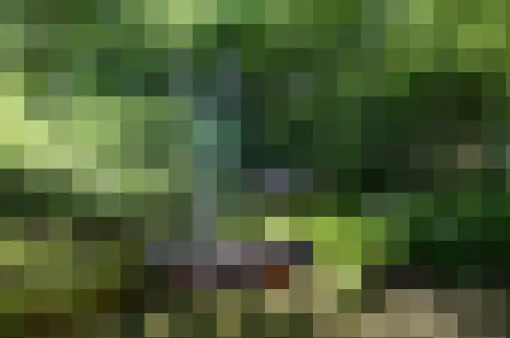 Ruiterweg 17 Schipborg thumbnail 71