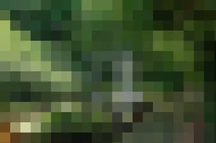 Ruiterweg 17 Schipborg thumbnail 72