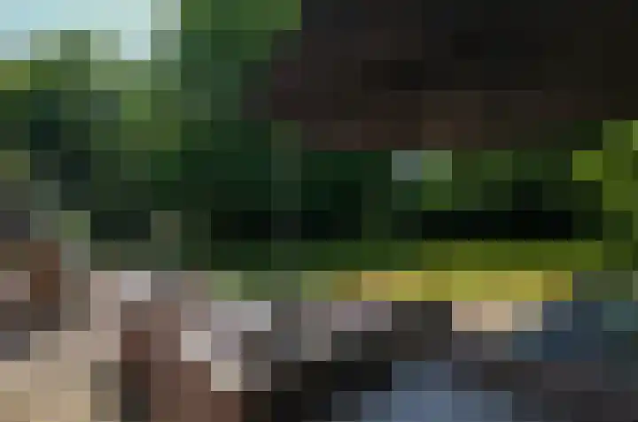 Ruiterweg 17 Schipborg thumbnail 73