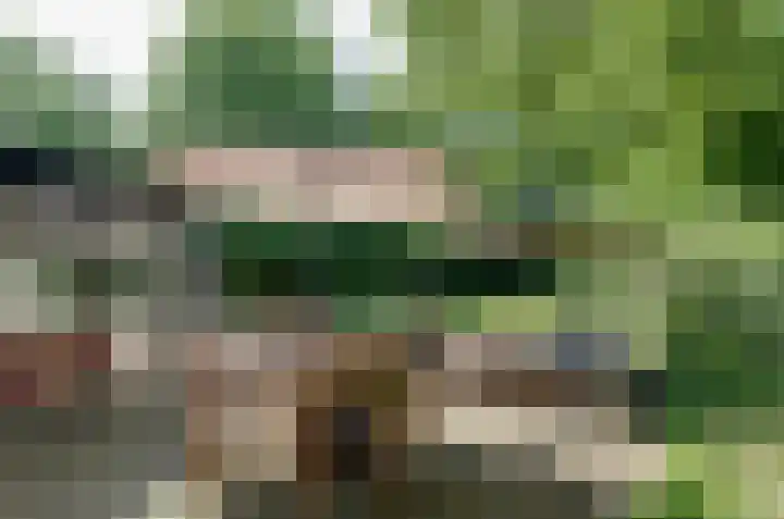 Ruiterweg 17 Schipborg thumbnail 74