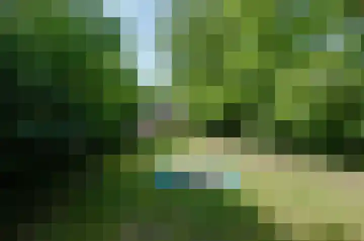 Ruiterweg 17 Schipborg thumbnail 78