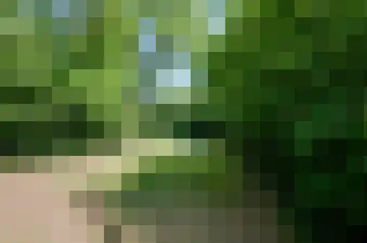 Ruiterweg 17 Schipborg thumbnail 79