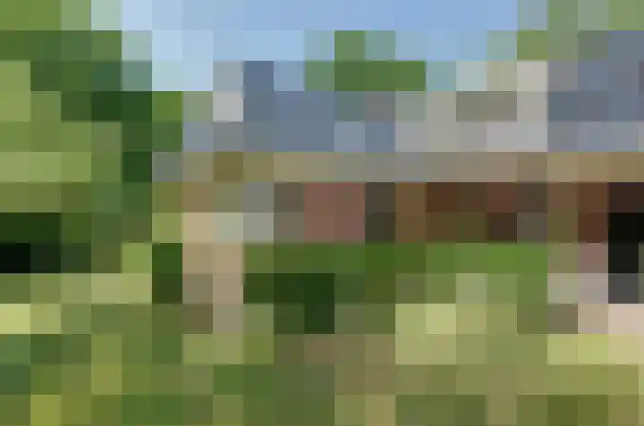Ruiterweg 17 Schipborg thumbnail 82