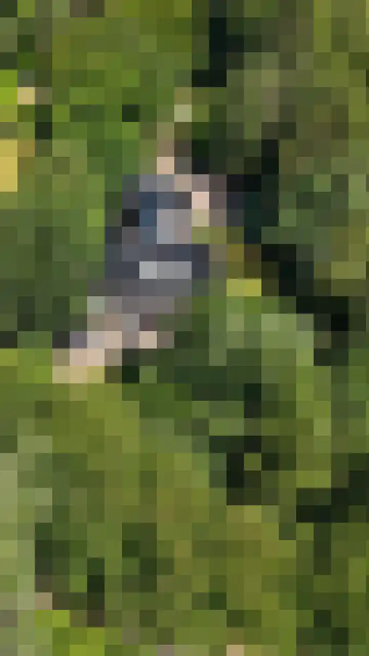Ruiterweg 17 Schipborg thumbnail 84