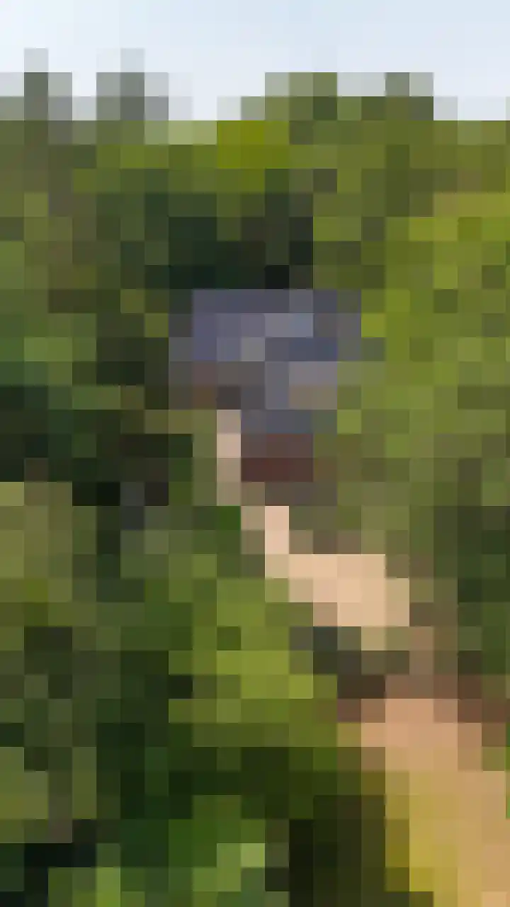 Ruiterweg 17 Schipborg thumbnail 85