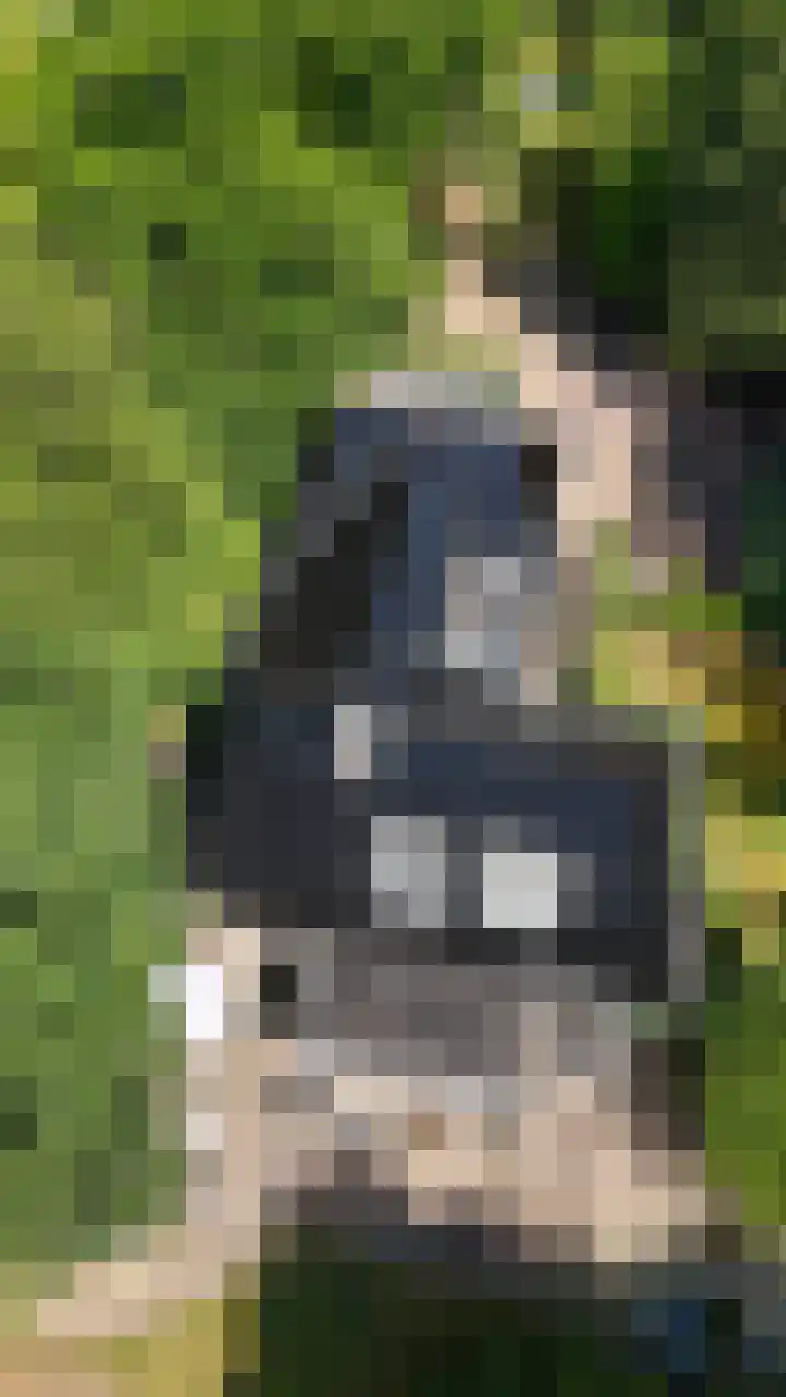 Ruiterweg 17 Schipborg thumbnail 86