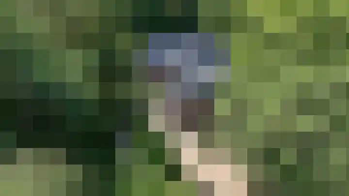 Ruiterweg 17 Schipborg thumbnail 87