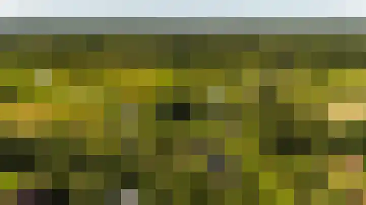 Ruiterweg 17 Schipborg thumbnail 88