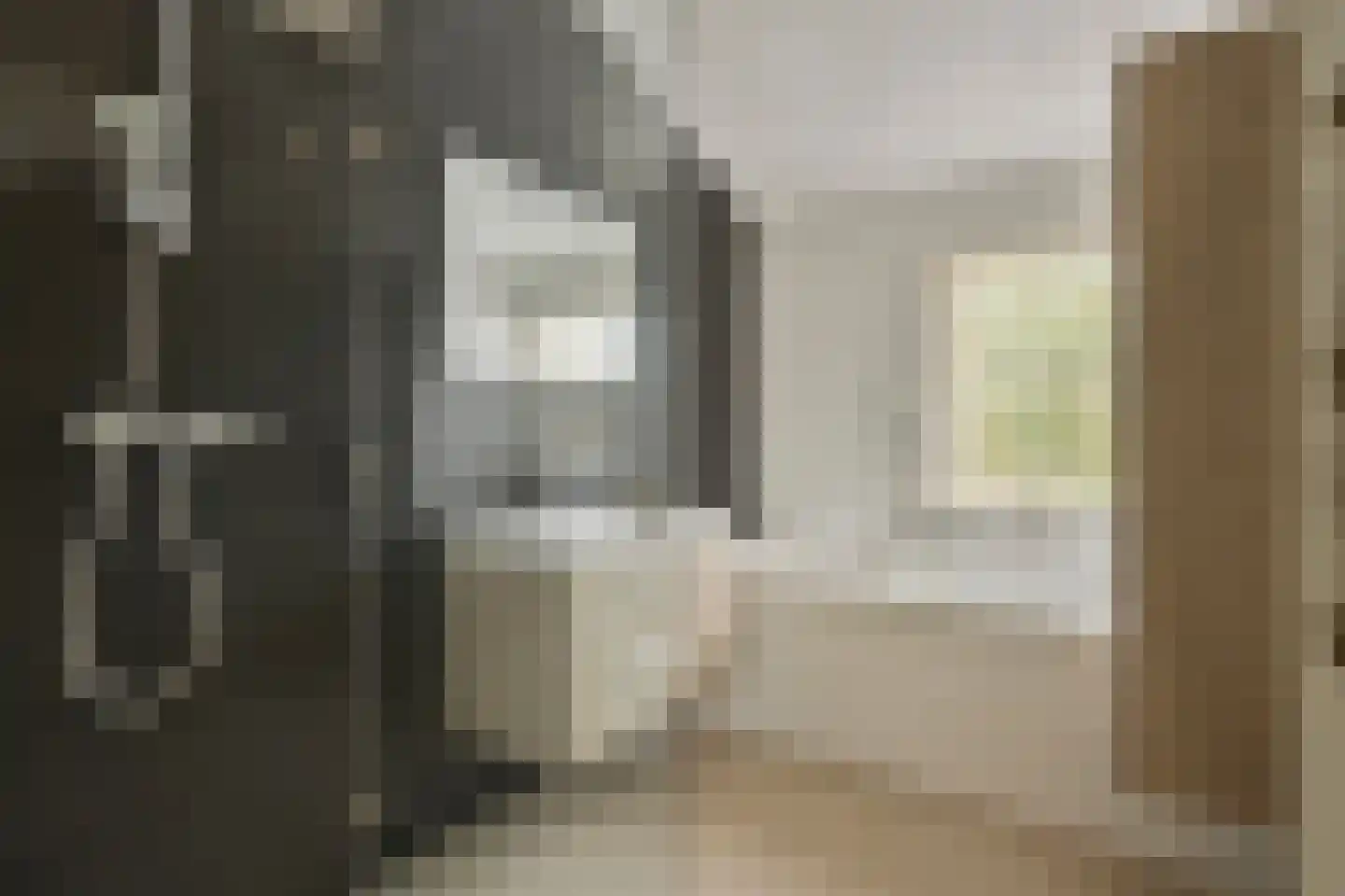 Ruiterweg 21 c Castricum thumbnail 13