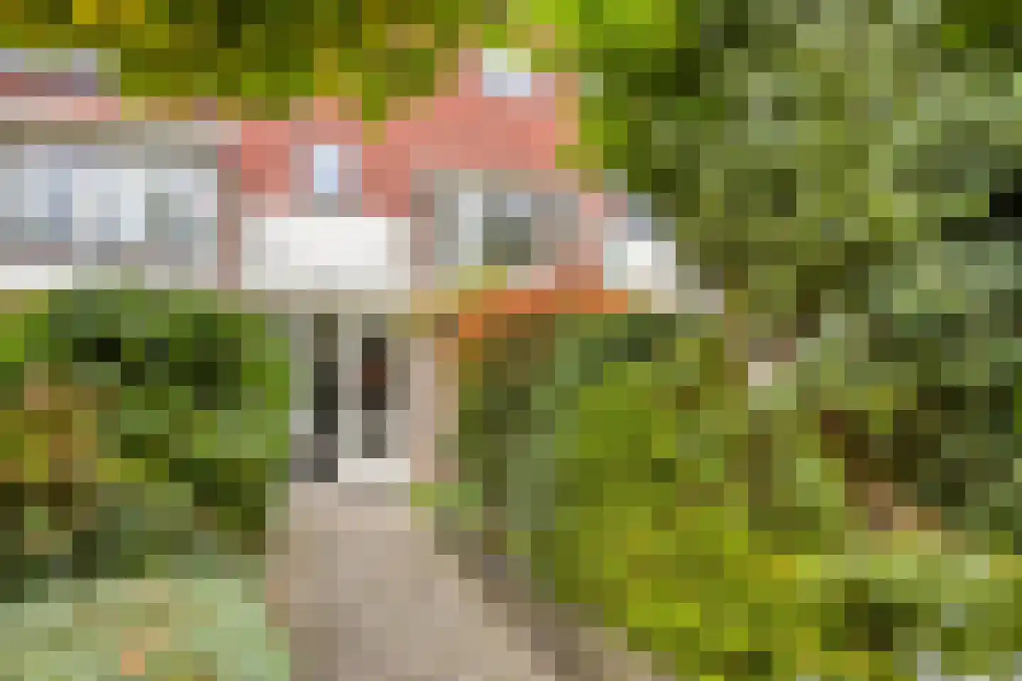 Ruiterweg 21 c Castricum thumbnail 22