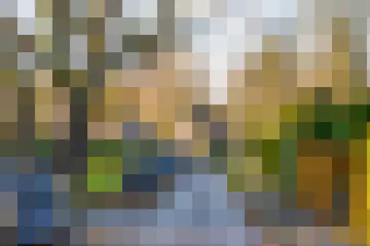 Ruiterweg 31 Laren thumbnail 21