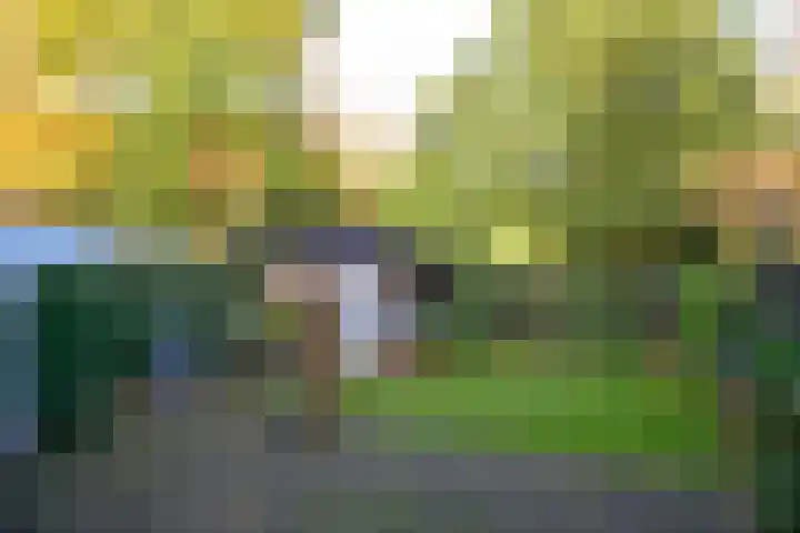 Ruiterweg 31 Laren thumbnail 4