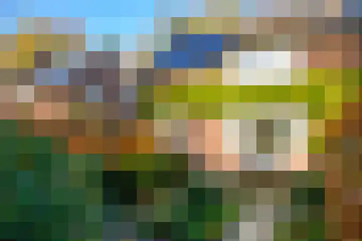 Ruiterweg 31 Laren thumbnail 6
