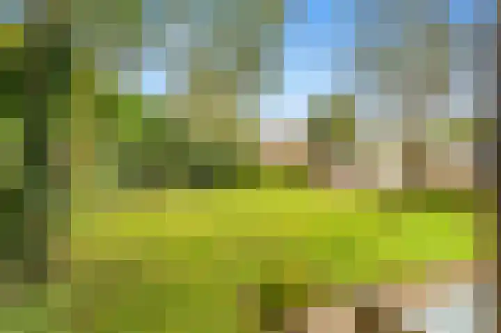 Ruiterweg 57 Castricum thumbnail 25