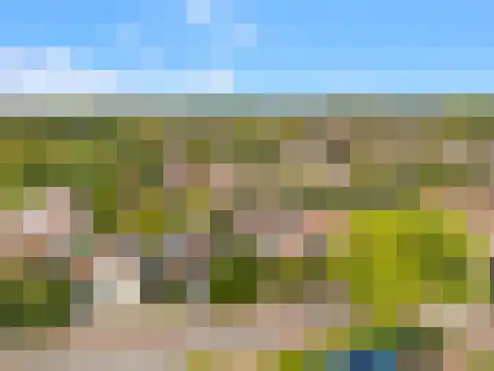 Ruiterweg 57 Castricum thumbnail 29