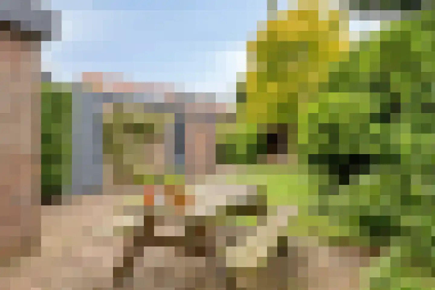 Ruiterweg 59 Castricum thumbnail 20