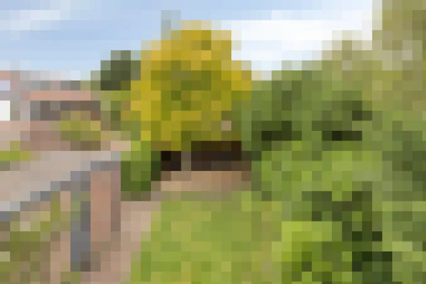 Ruiterweg 59 Castricum thumbnail 23