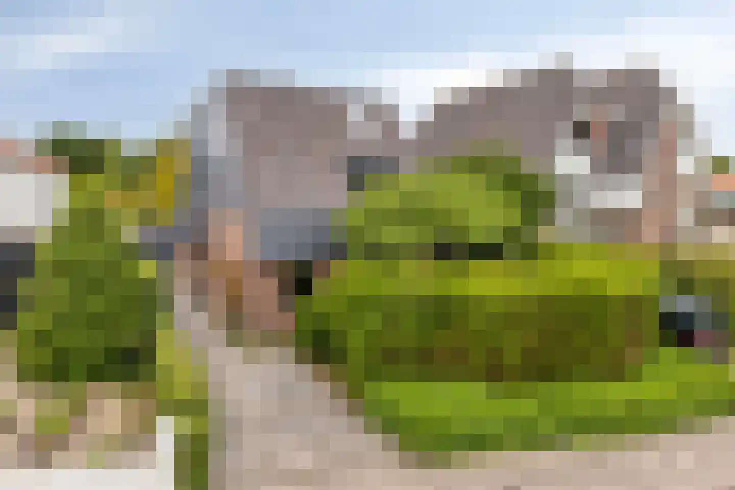 Ruiterweg 59 Castricum thumbnail 43