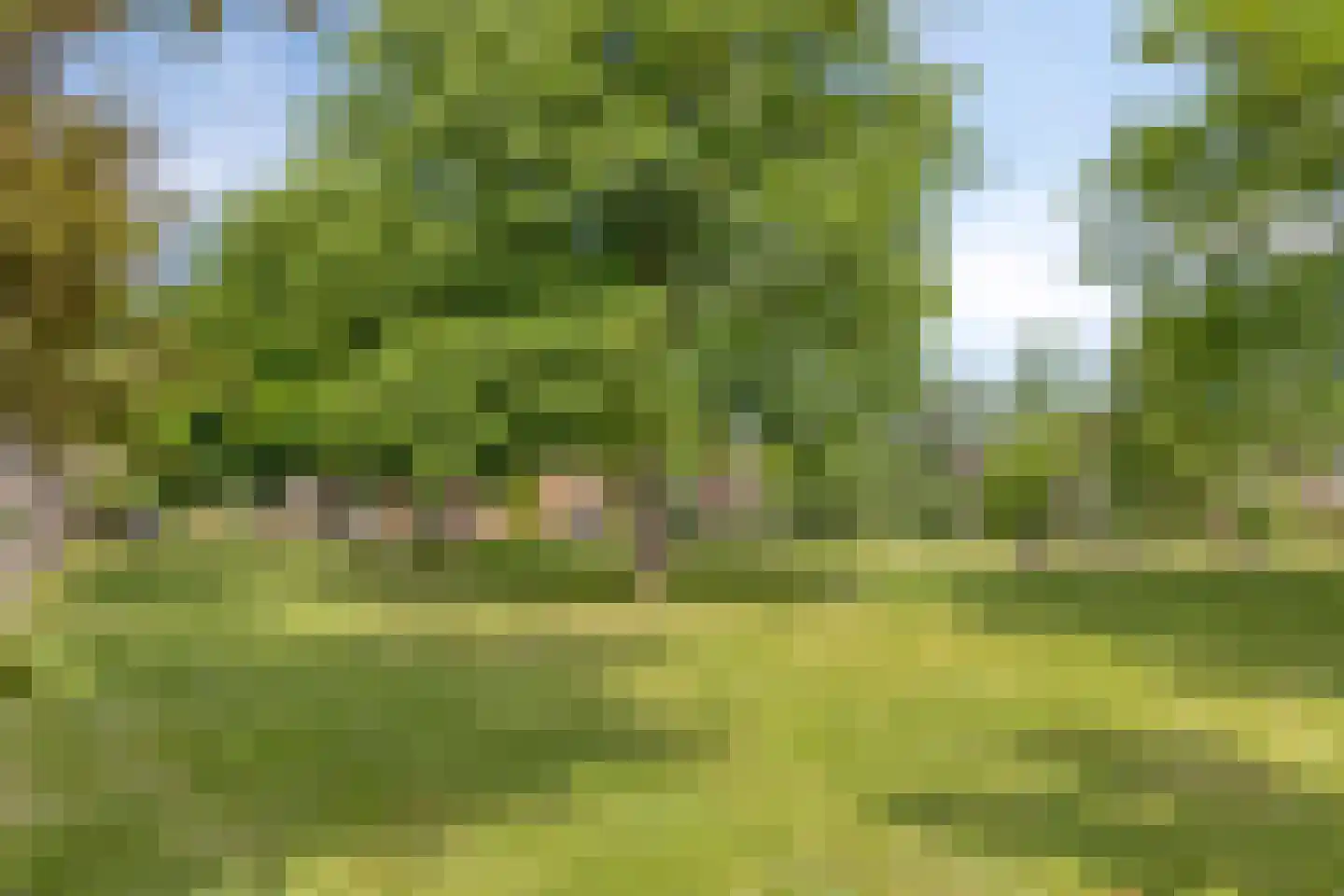 Ruiterweg 59 Castricum thumbnail 45