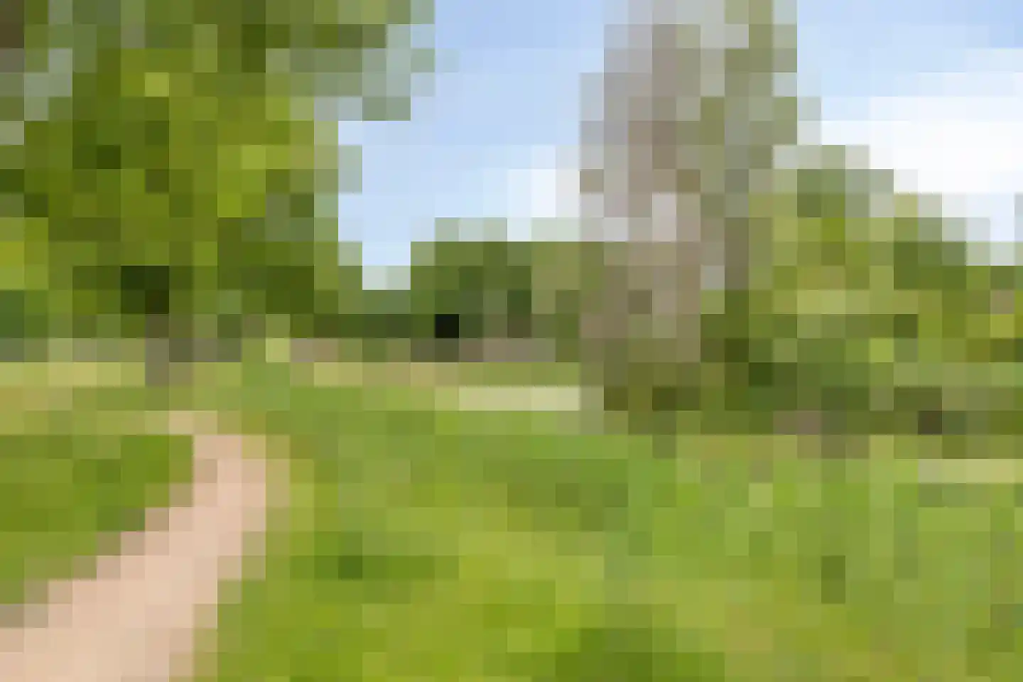 Ruiterweg 59 Castricum thumbnail 46