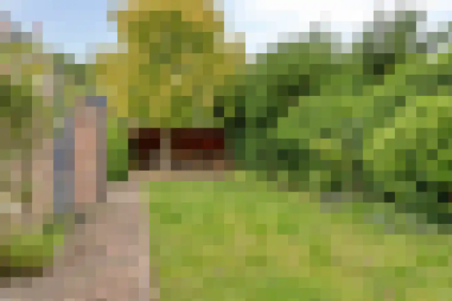 Ruiterweg 59 Castricum thumbnail 6