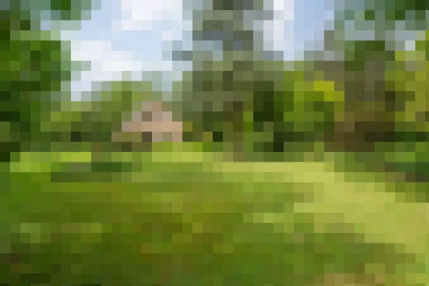 Ruiterweg 7 Darp