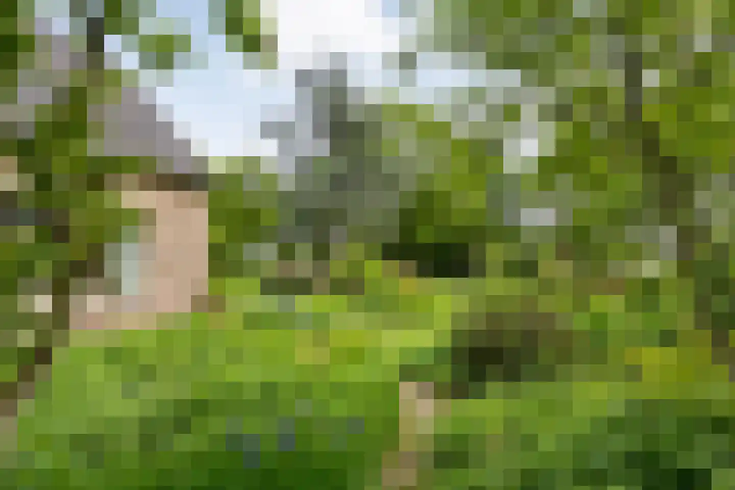 Ruiterweg 7 Darp thumbnail 10