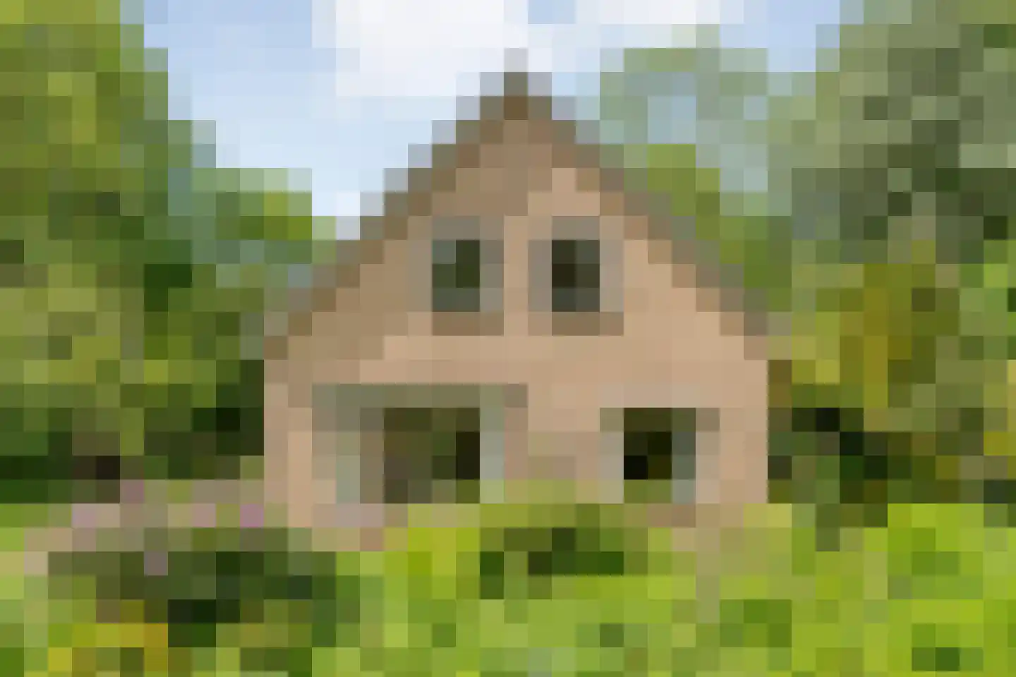 Ruiterweg 7 Darp thumbnail 11